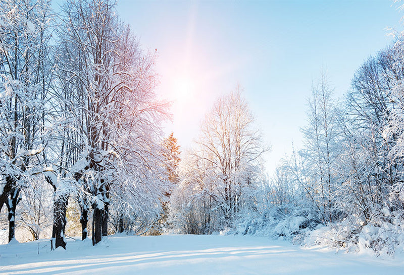 forest snow landscape photo backdrop winter snow road trees photography background interior decoration photo booth props Merry Xmas backdrops