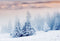 snow scenes photo backdrop winter snow road forest photography background interior decoration photo booth props Merry Xmas backdrops