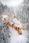 snow scenery photo backdrop winter snow forest photography background train track snow photo booth props forest backdrop 2020