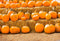 halloween theme photo booth backdrop Pumpkin Lantern backdrop for picture kids photography background Pumpkin 10x8 photo props party