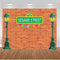 Sesame Street Photography Background Street Light Dark Red Bricks Wall Birthday Party Photo Studio Backdrop Kids Birthday Banner Photo Prop
