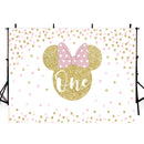 Custom Monkey Mouse Photography Background Girls Birthday Banner Minnie Mouse Photo Studio Backdrop One Birthday Vinyl Photo Prop