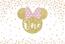 Custom Monkey Mouse Photography Background Girls Birthday Banner Minnie Mouse Photo Studio Backdrop One Birthday Vinyl Photo Prop