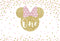 Custom Monkey Mouse Photography Background Girls Birthday Banner Minnie Mouse Photo Studio Backdrop One Birthday Vinyl Photo Prop