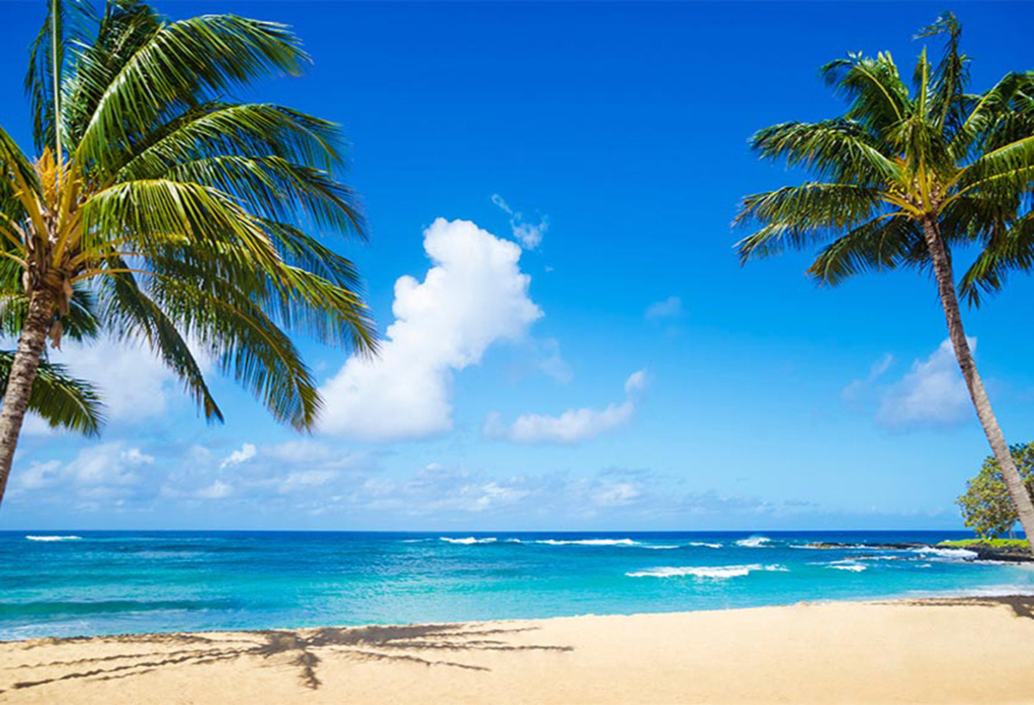 sea beach backdrop for pictures summer photography backdrops luau photo props tropical theme photo booth props hawaiian photo background vinly