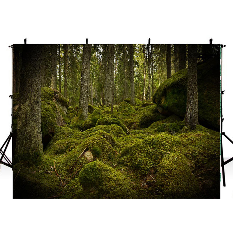 wild photo backdrop enchanted forest 8ft photo booth props nature scenery photography background travel vinyl backdrops for picture summer trees background scenes