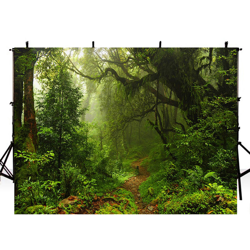wild photo backdrop enchanted forest 8ft photo booth props nature scenery photography background travel vinyl backdrops for picture summer trees background scenes