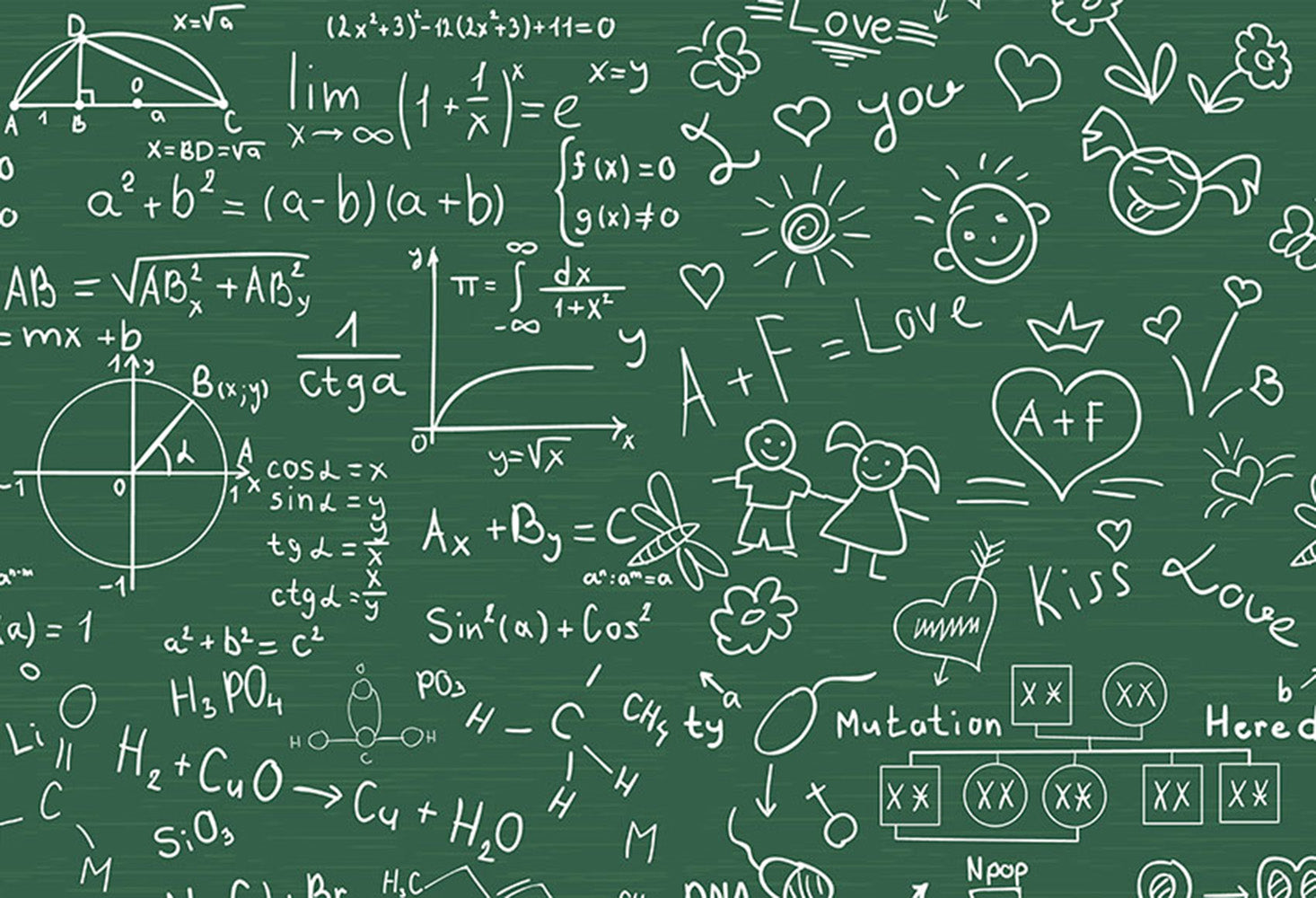 custom school photo booth props blackboard 2019 graduation photo backdrop chalkboard graduation photo backdrop for preschool vinyl background elementary graduation photo props for teenages