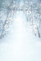 Christmas photo backdrop winter snow photography background snow scenes photo booth props snow frost backdrops snow forest