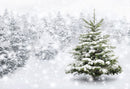 Winter Snow Tree Backdrop White Christmas Photography Backdrop Snow Scenes Photo Background Studio Background for Picture