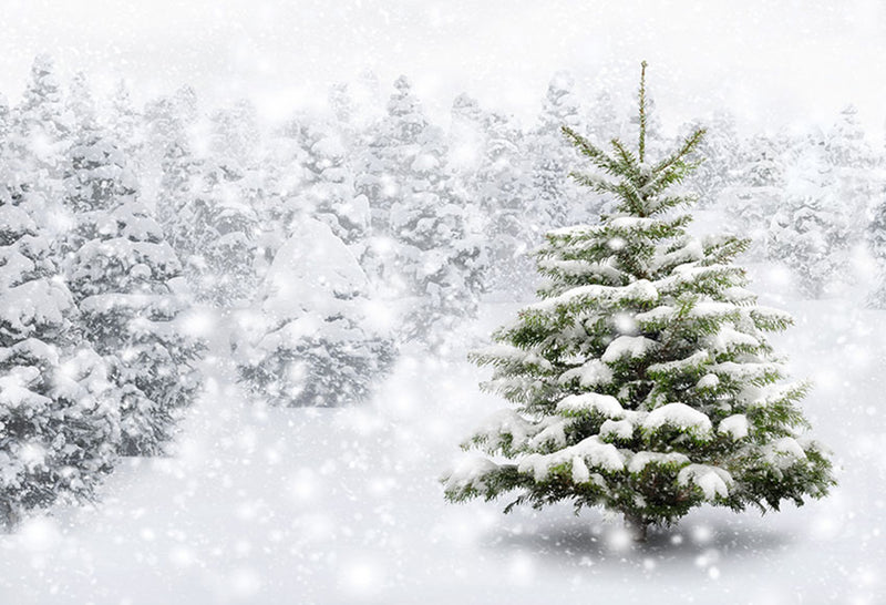 Winter Snow Tree Backdrop White Christmas Photography Backdrop Snow Scenes Photo Background Studio Background for Picture