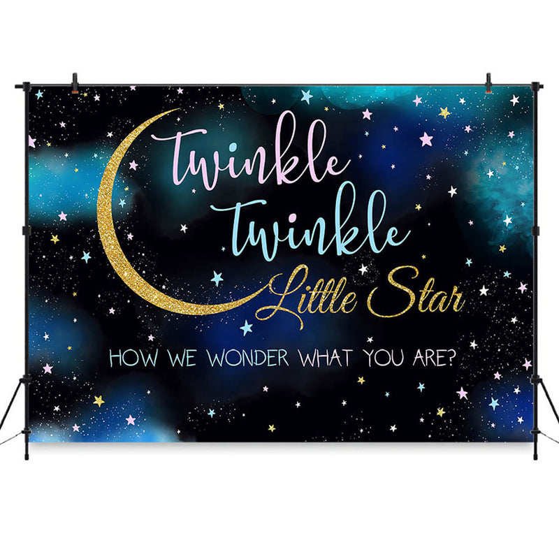 twinkle twinkle Little Star Backdrop Twinkly Smart Gender Reveal Party Background Pink or Blue Photo Booth Backdrops